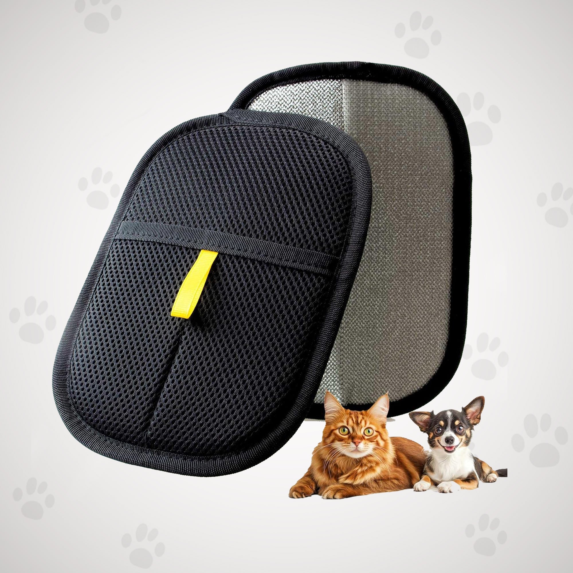 Pet travel carrier with a cat and dog in front of it on a light gray background with paw prints.