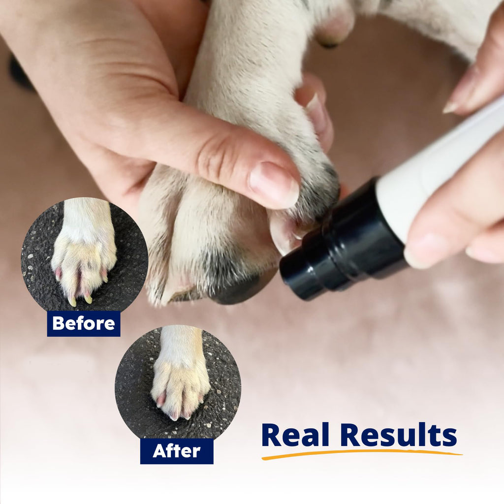 Silent Nail Pro Grinder